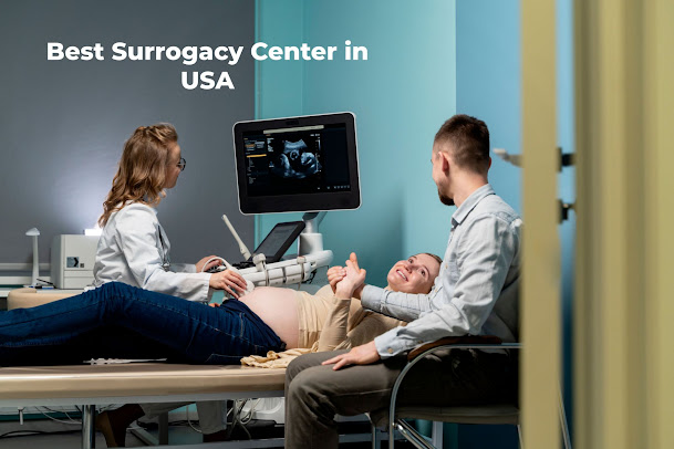 best surrogacy center in use