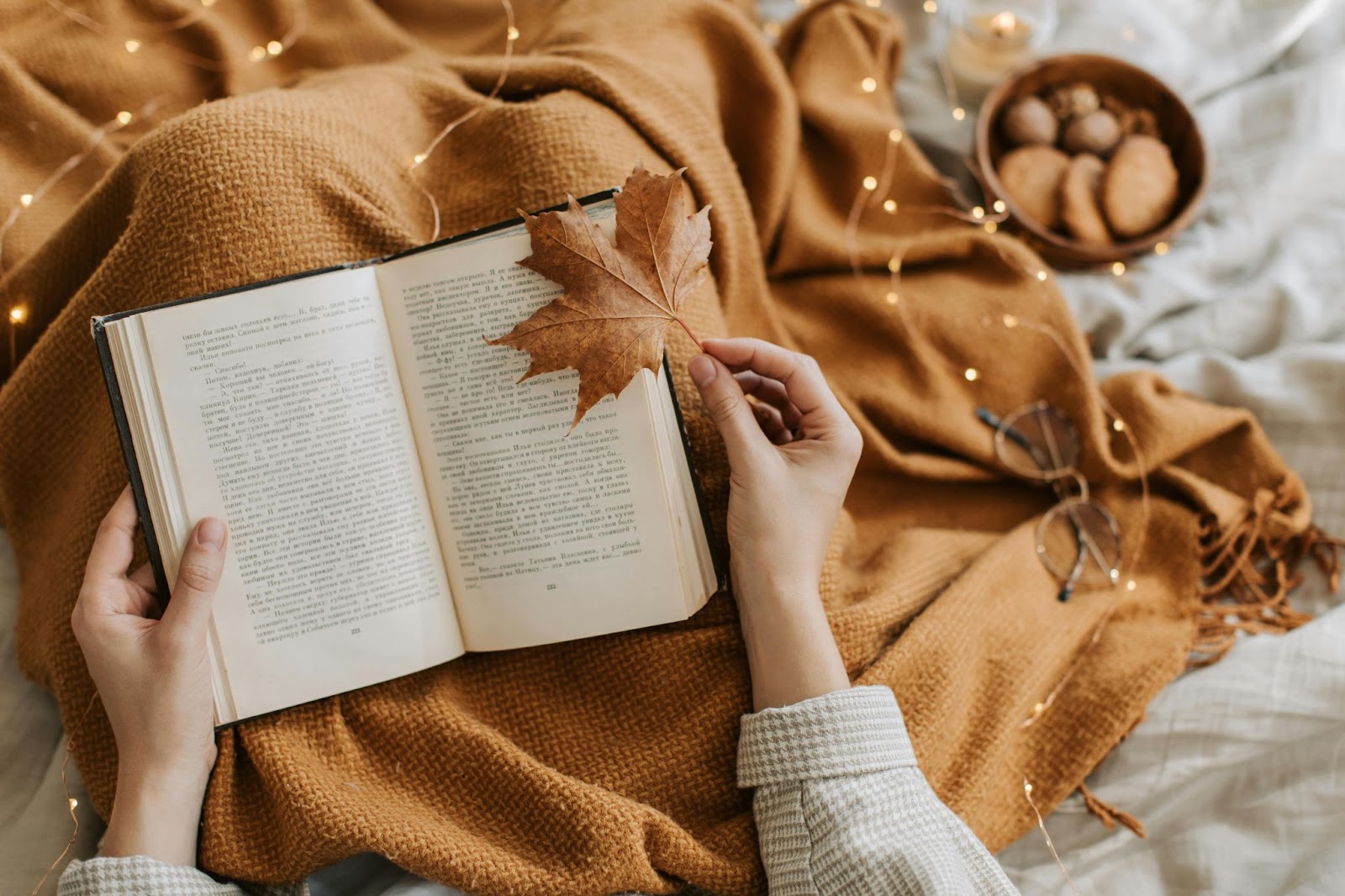 Stylish Book DP with a maple leaf and fairy lights