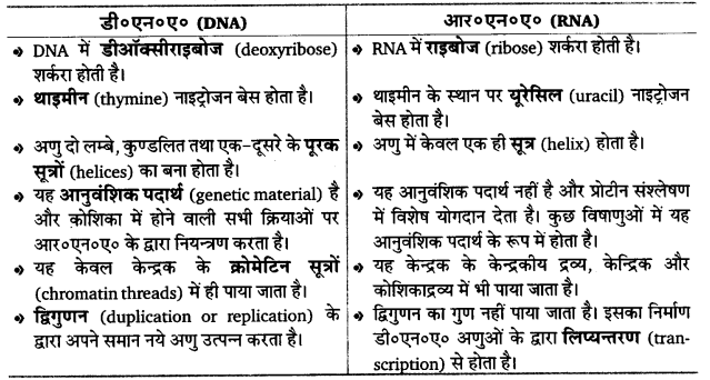 UP Board Solutions for Class 12 Biology Chapter 6 Molecular Basis of Inheritance 2Q.3