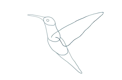 HOW TO DRAW A HUMMINGBIRD STEP-BY-STEP GUIDE