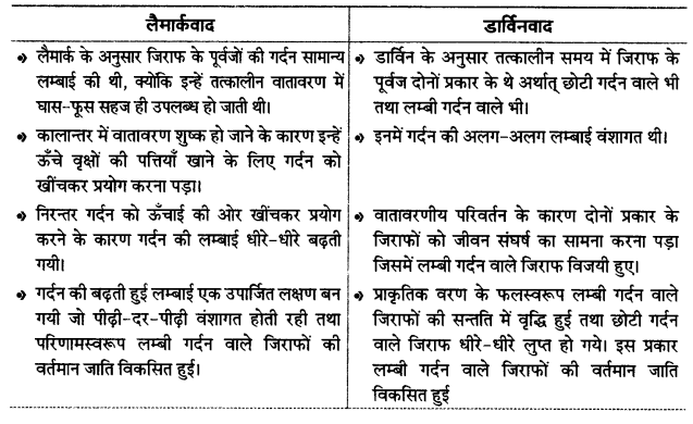 UP Board Solutions for Class 12 Biology Chapter 7 Evolution 3Q.5.1