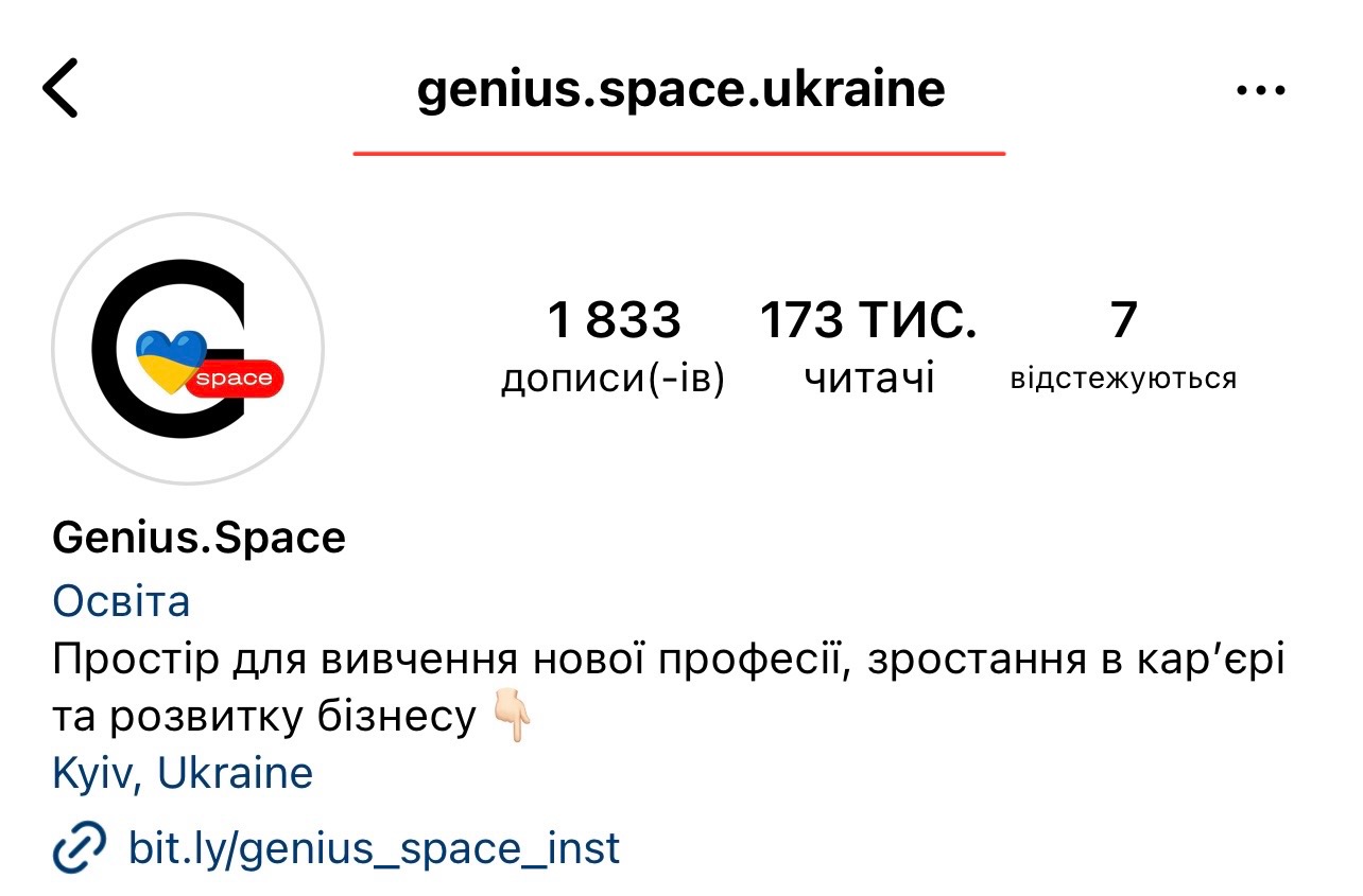 Секреты оформления продающей шапки профиля в Instagram: 22 примера -  Genius.Space