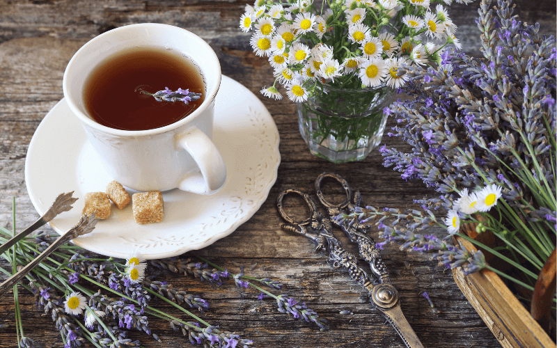 Lavender Tea