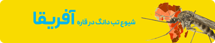 تب دنگی در آفریقا