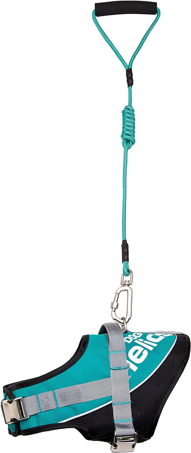 Dog Helios Teal Bark-Mudder Dog Leash and Harness