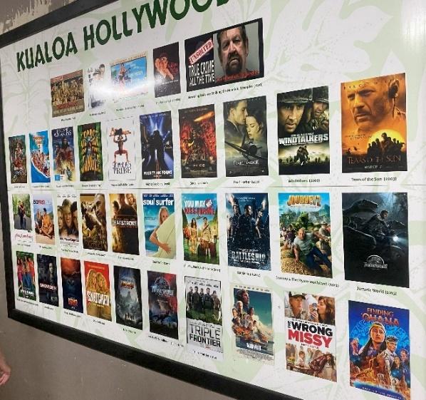 A poster board with many movie posters

Description automatically generated