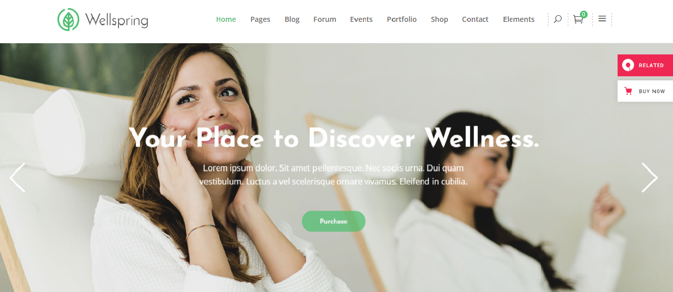 WellSpring lifestyle blog theme