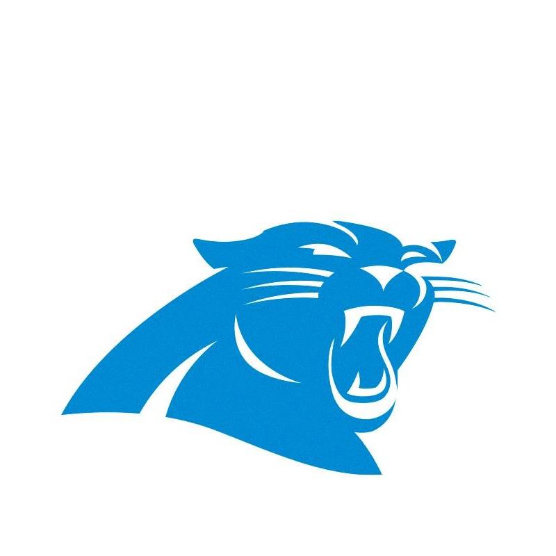 Carolina Panthers Logo History - Evolution of the Logo and more