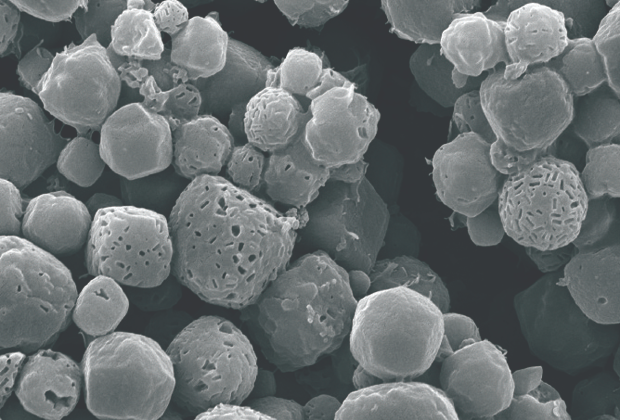 Imagem microscópica do baculovírus