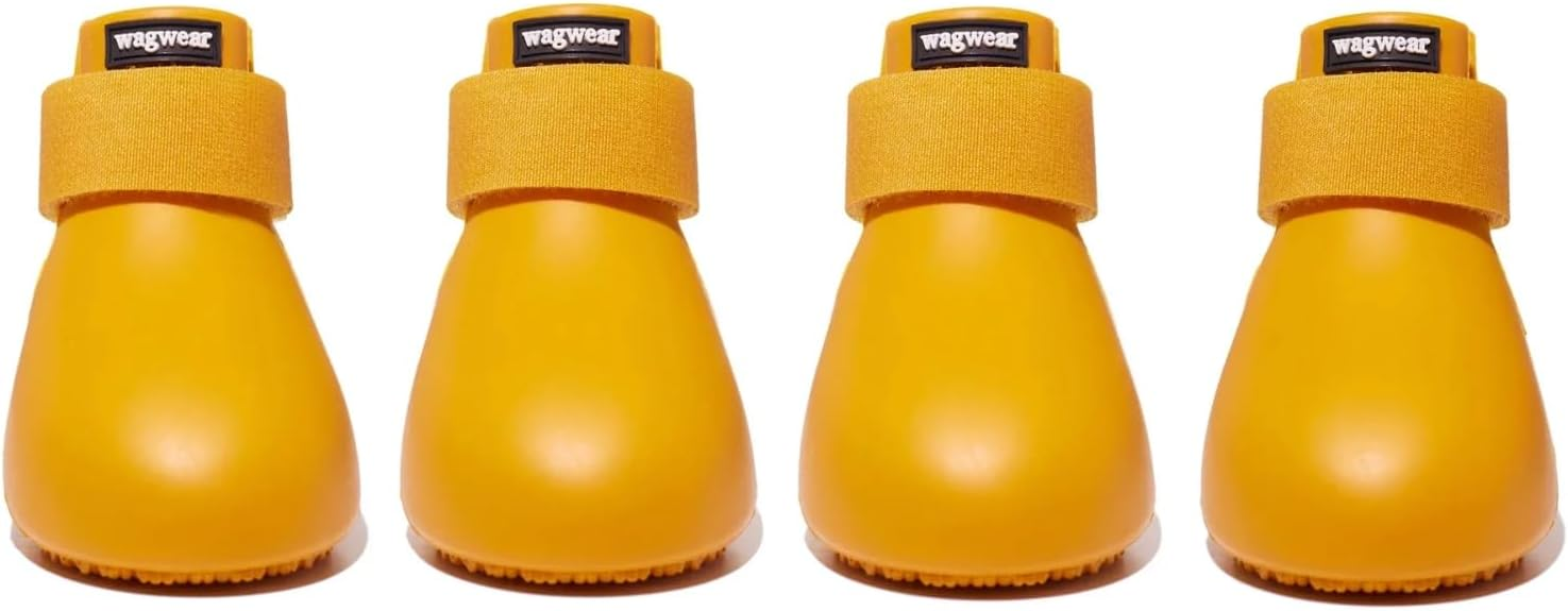Crocs For Dogs