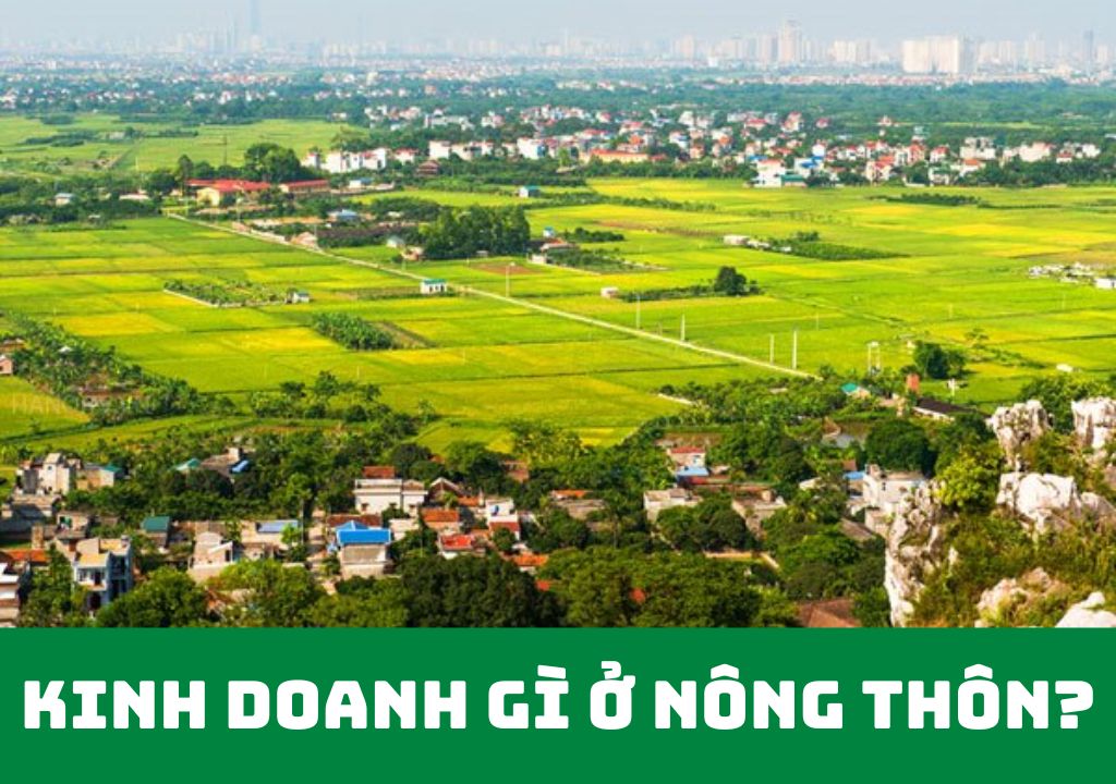 kinh doanh gì ở nông thôn