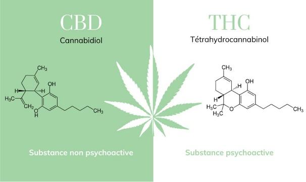 molecules thc et cbd | Comparatif des molecules entre CBD et… | Flickr