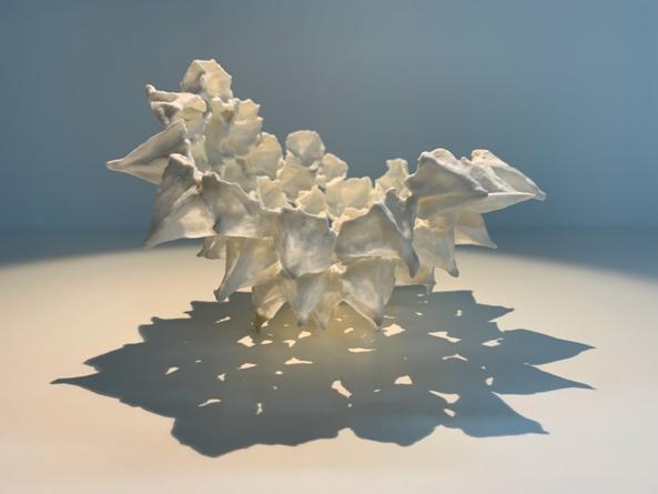 Afbeelding met origami

Beschrijving automatisch gegenereerd met gemiddelde betrouwbaarheid