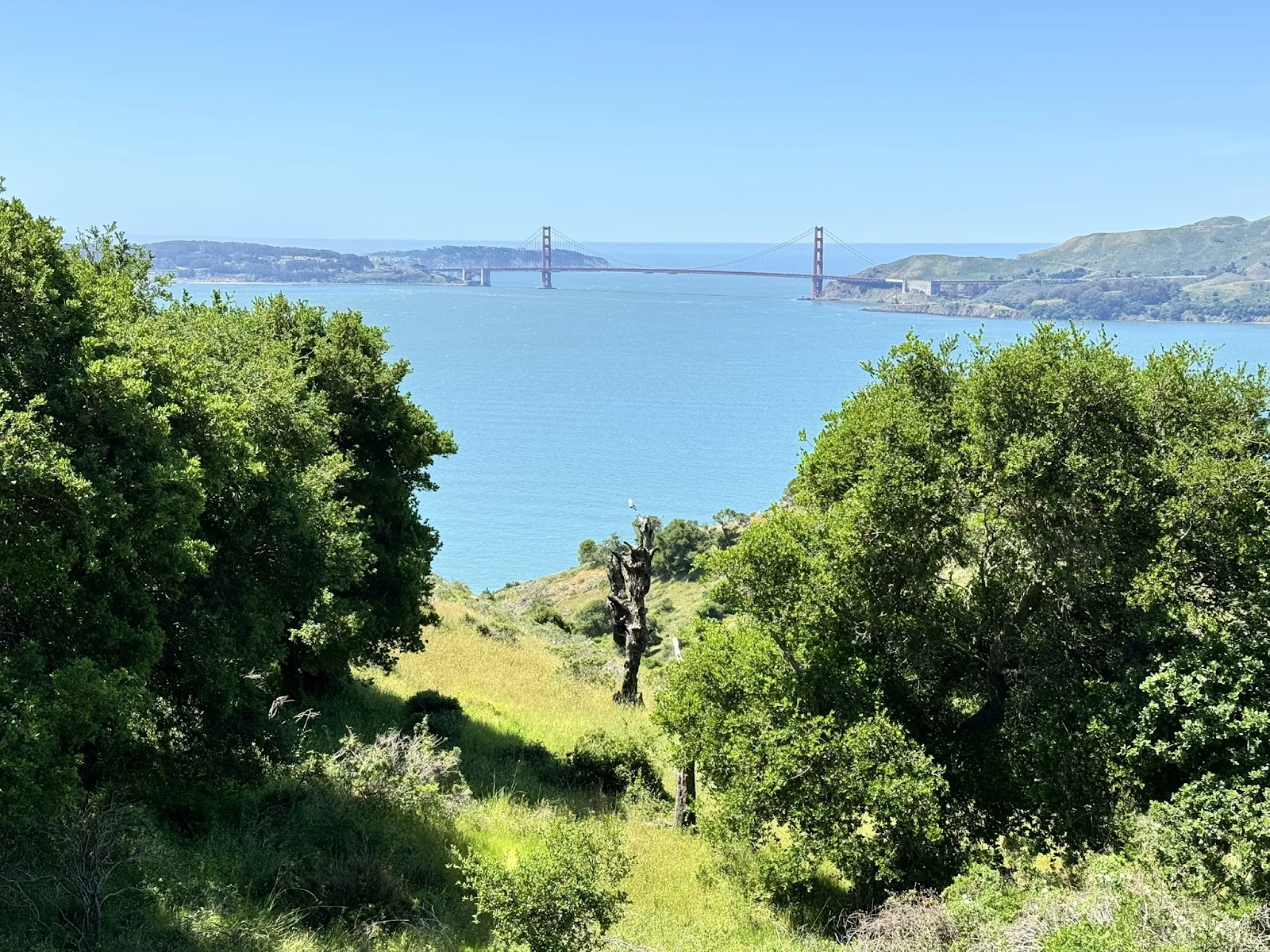 things to do in angel island state park 