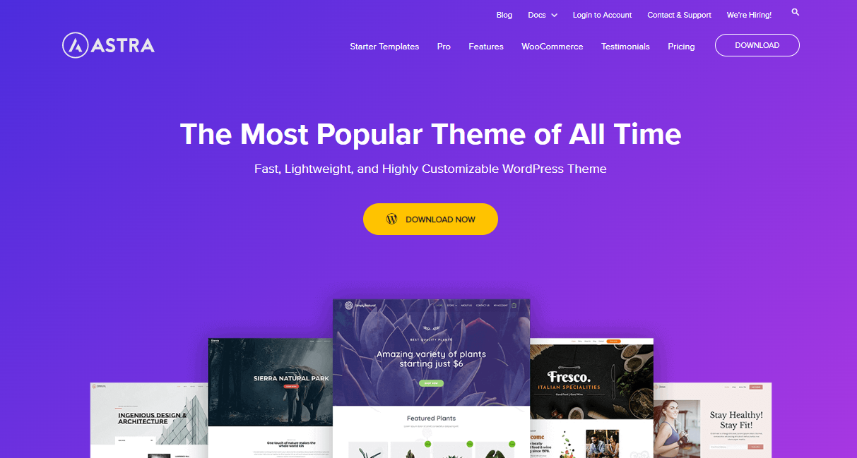 Astra - WordPress Blog Template