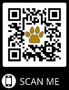 QR Scan
