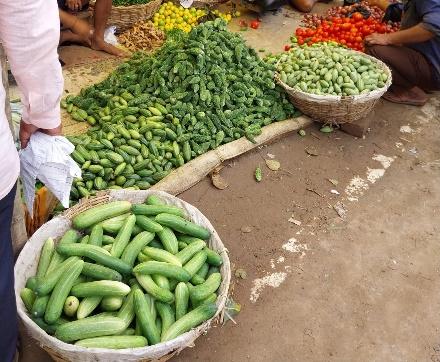 A group of vegetables in baskets

Description automatically generated
