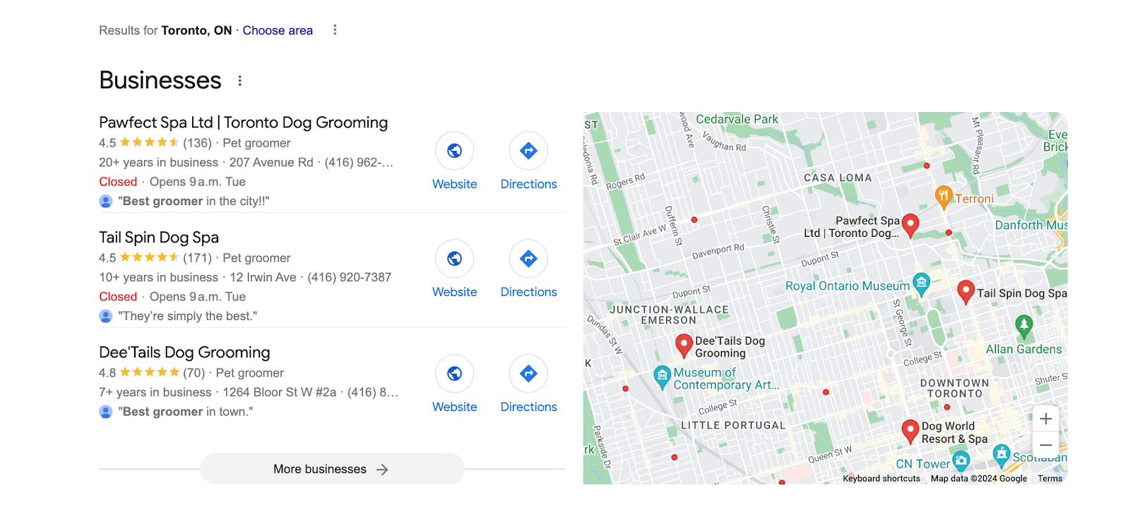 A Google search for a local pet grooming business.