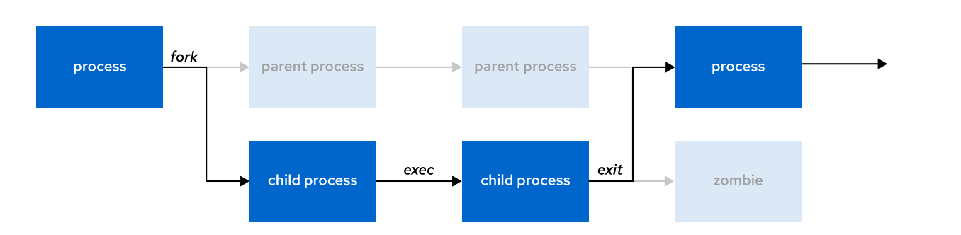 A diagram of a child process

Description automatically generated