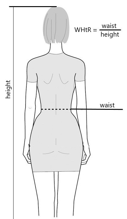 4 Cara Menghitung Berat Badan Ideal, Rumus Waist to Height Ratio (WtHR)