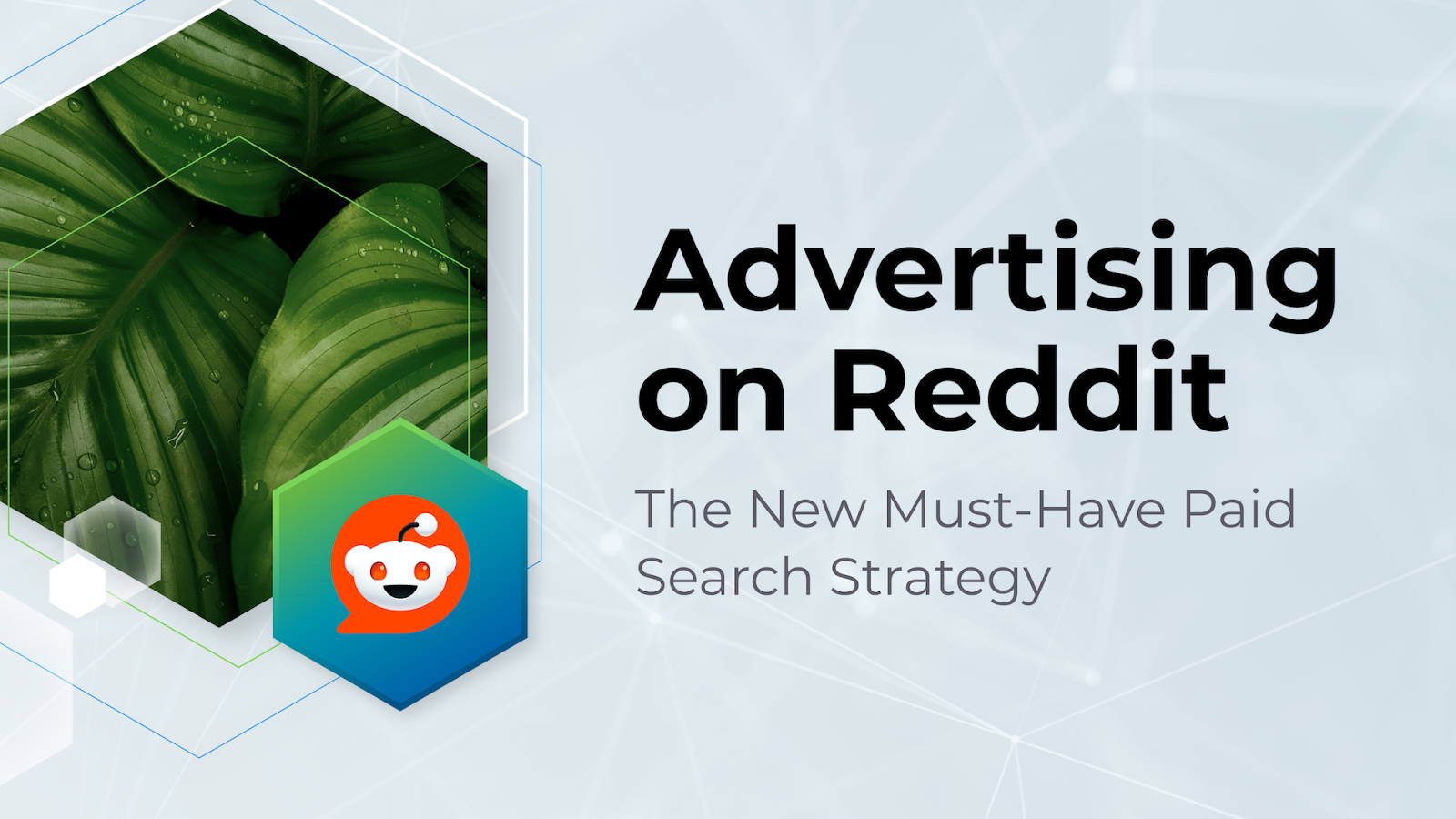 Advertising on Reddit: The New Must-Have Paid Search Strategy