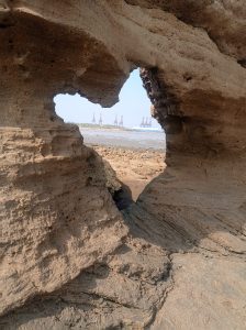 Travel Shiyal Bet mysterious and wonderful place in gujarat 