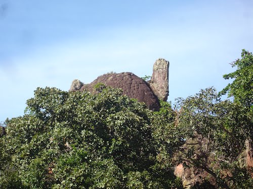 Pedra