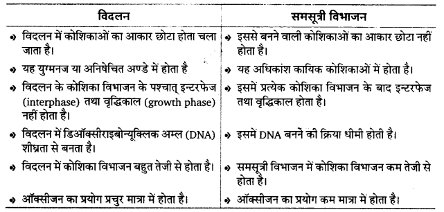 UP Board Solutions for Class 12 Biology Chapter 3 Human Reproduction 2Q.2