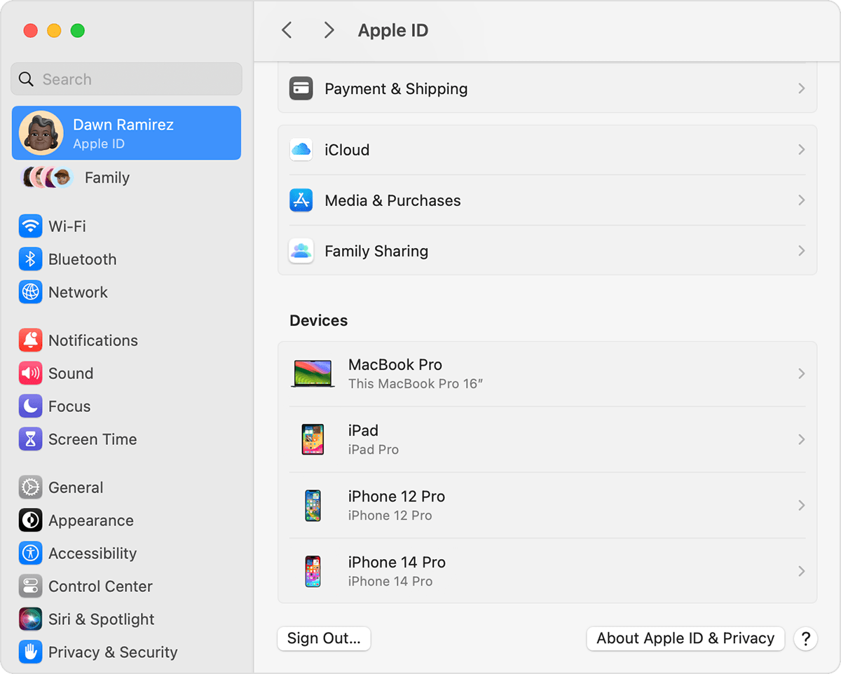 Знімок екрана на Mac, на якому показано всі пристрої, на яких ви ввійшли в обліковий запис Apple.