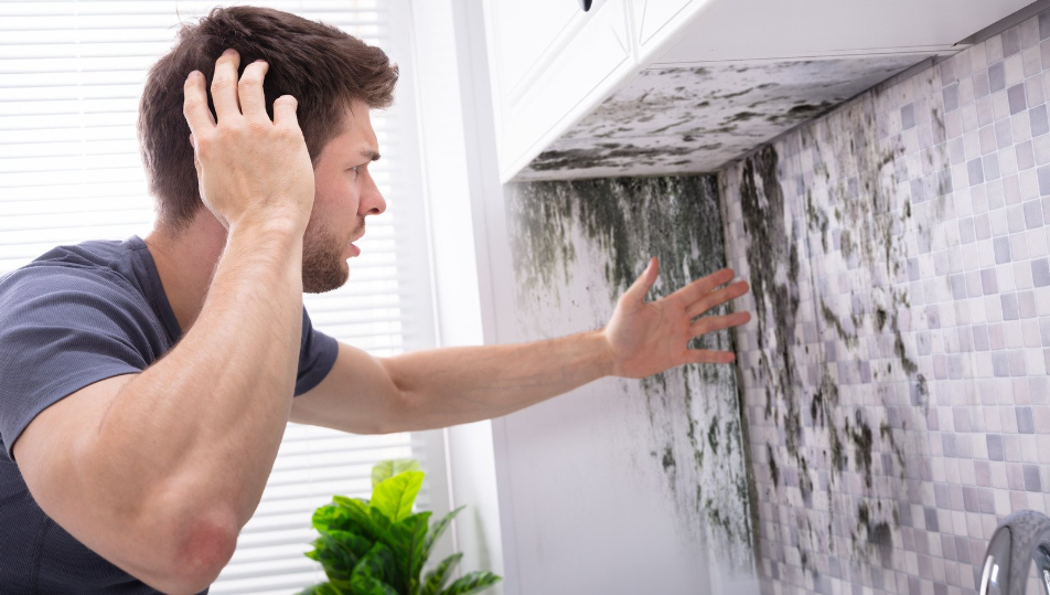 how to clean mold off walls