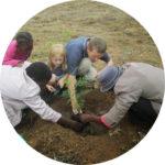 A group of people planting a tree

Description automatically generated