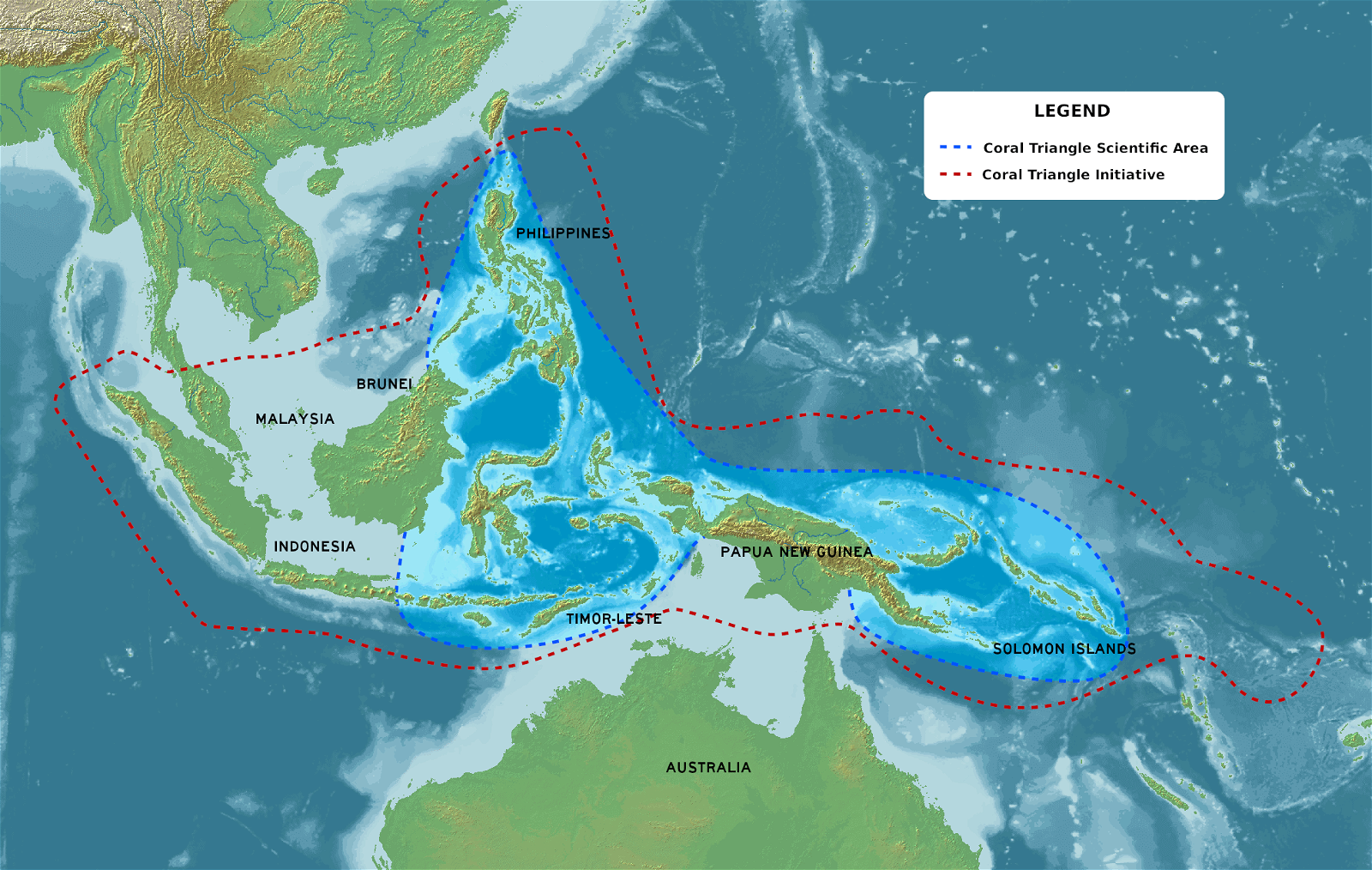 Coral triangle