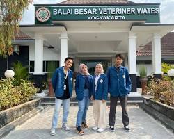 Gambar Paramedik Veteriner di Balai Veteriner