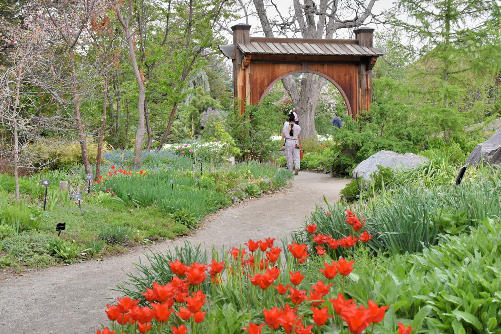 people walking through Denver Botonic Gardens