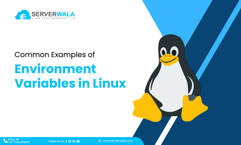 Common Examples of Environment Variables in Linux