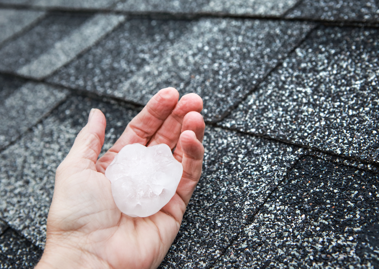 Close-up of a hand holding a large hailstone over a hail-damaged roof, highlighting the need for roof repairs due to weather.