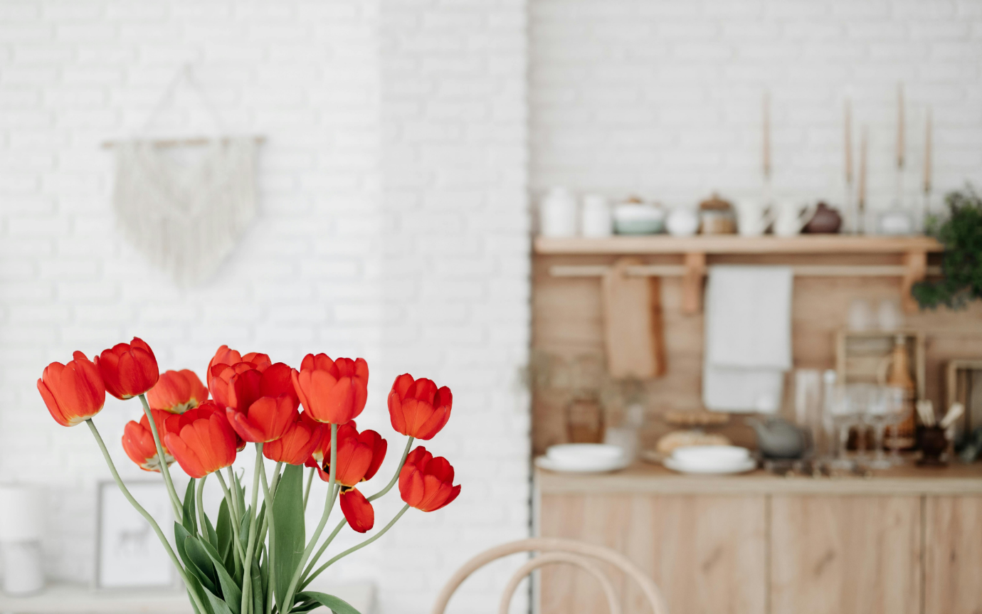 A red flowers in a vase in front of a kitchenDescription automatically generated