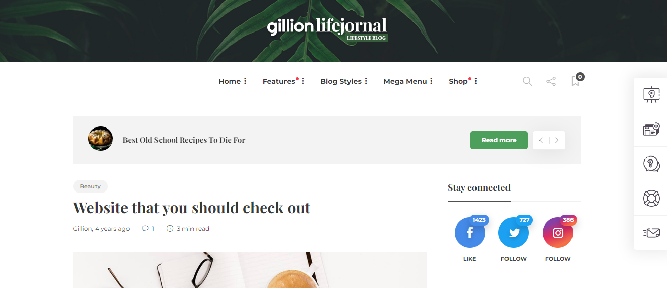 Gillion lifestyle blog theme