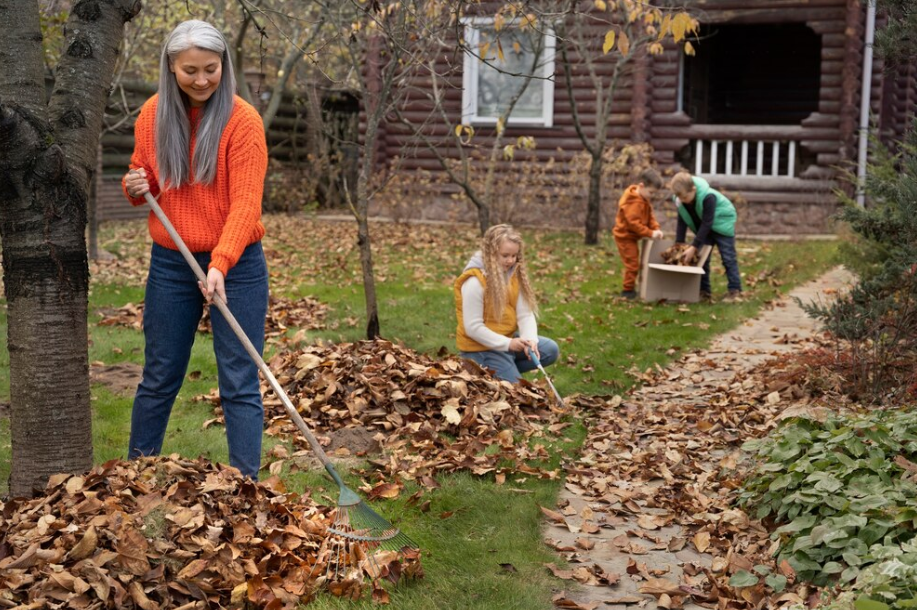 Residential Tree Care: Services Every Homeowner Should Know About