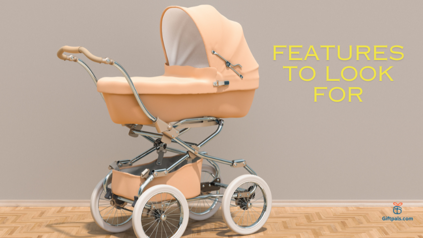 Features to Look for in a Pet Stroller