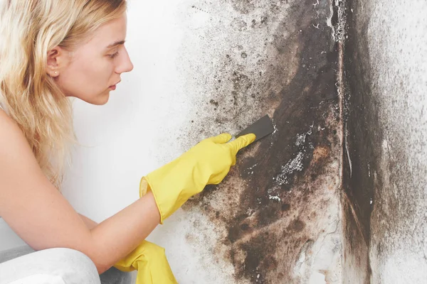 who pays for mold remediation?