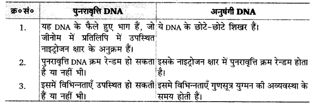 UP Board Solutions for Class 12 Biology Chapter 6 Molecular Basis of Inheritance Q.8.1