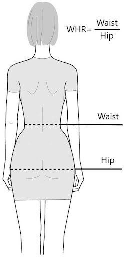 4 Cara Menghitung Berat Badan Ideal, Rumus Waist to Hip Ratio (WHR)