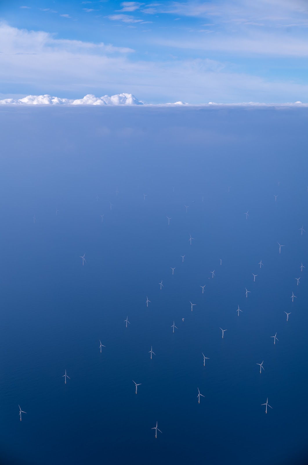 Photo of Fields of windmills near Amsterdam 