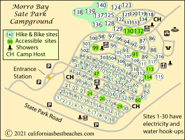 Morro Strand State Beach Camping: Ultimate Guide to Coastal Adventure