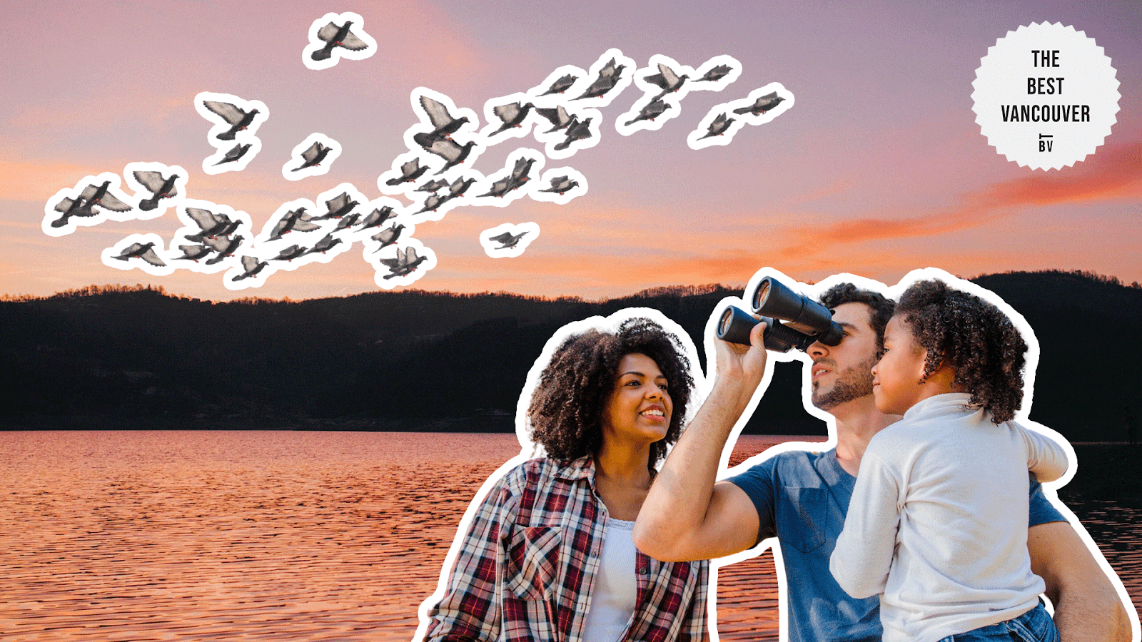 Participate in Guided Birdwatching Tours