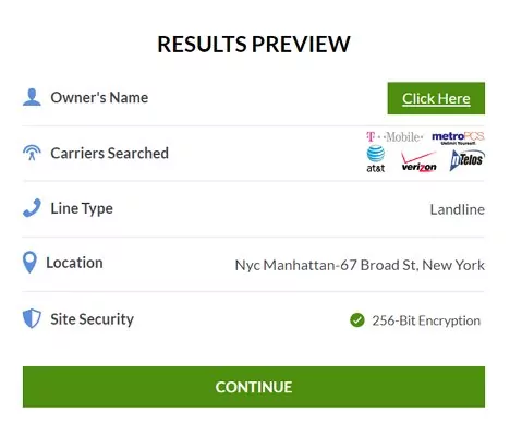 Intelius Results preview