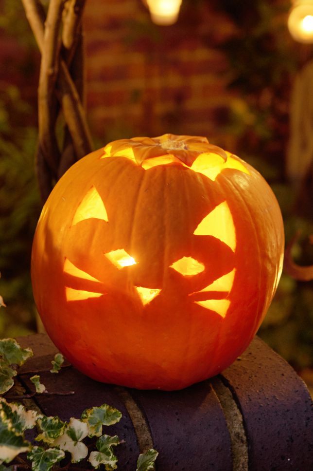 pumpkin faces, pumpkin outdoors carved with a cat face