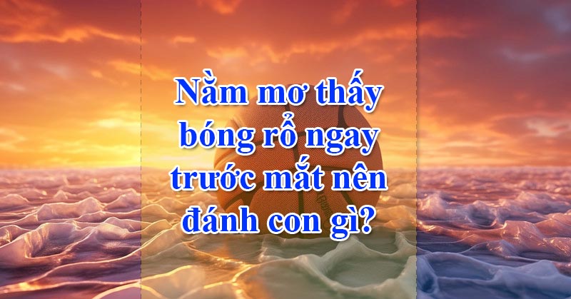 Nằm mơ thấy bóng rổ ngay trước mắt nên đánh con gì