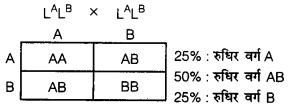 UP Board Solutions for Class 12 Biology Chapter 5 Principles of Inheritance and Variation 4Q.2.5